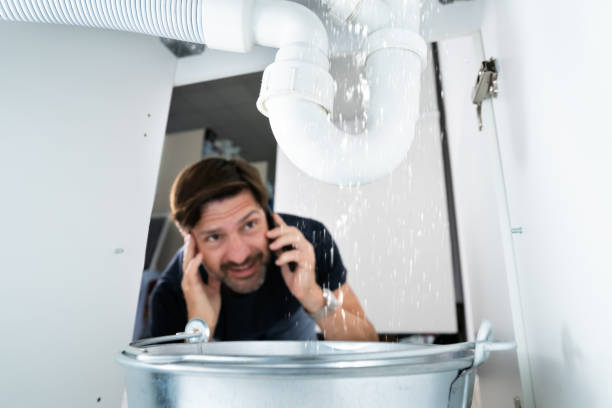 Best Commercial Plumbing Services  in Olive Hill, KY