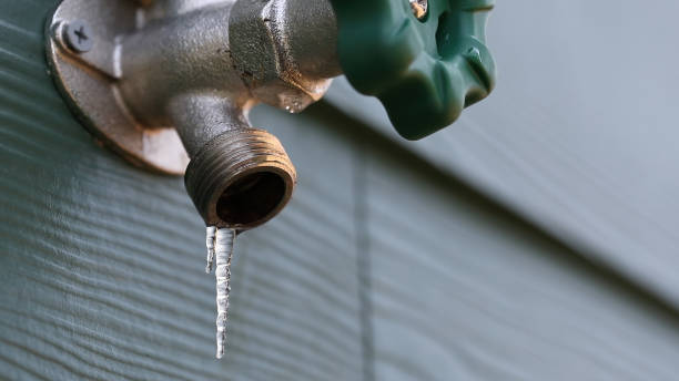 Best Clogged Drain Plumber  in Olive Hill, KY