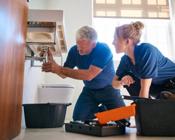 Best Plumbing Inspection Services  in Olive Hill, KY